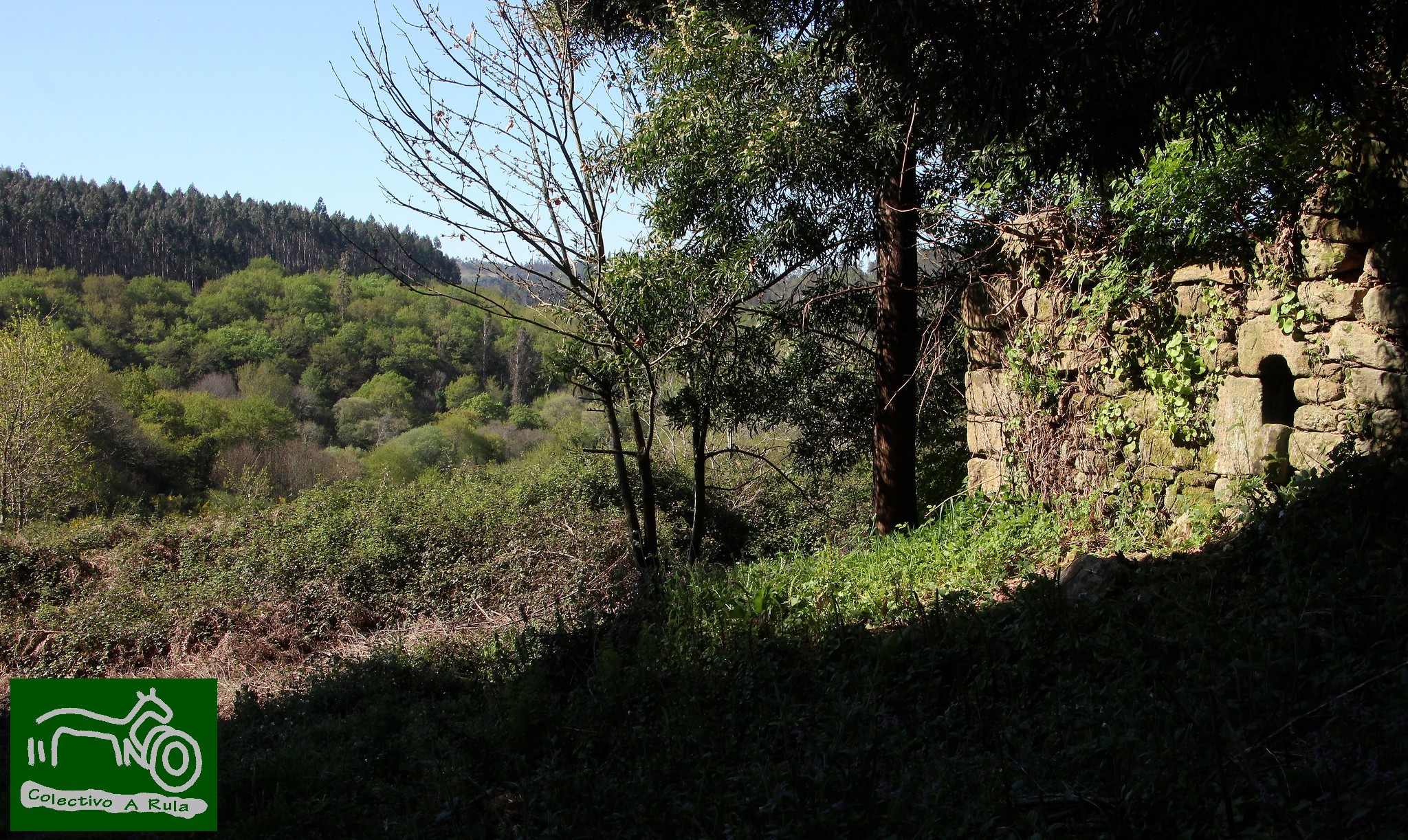 51231115417_987f3fc255_k