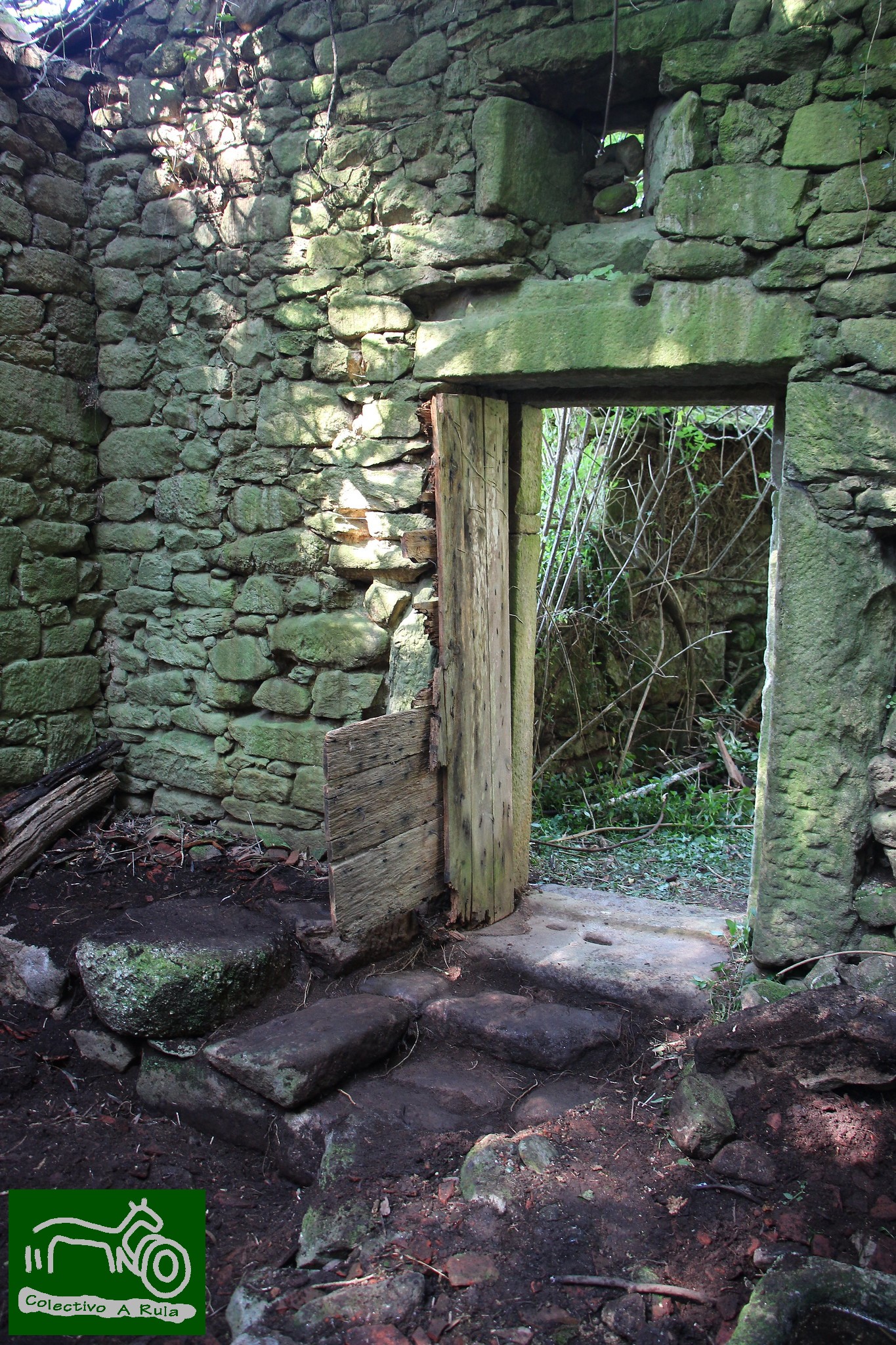 51232594174_6dd5e03bd9_k (1)