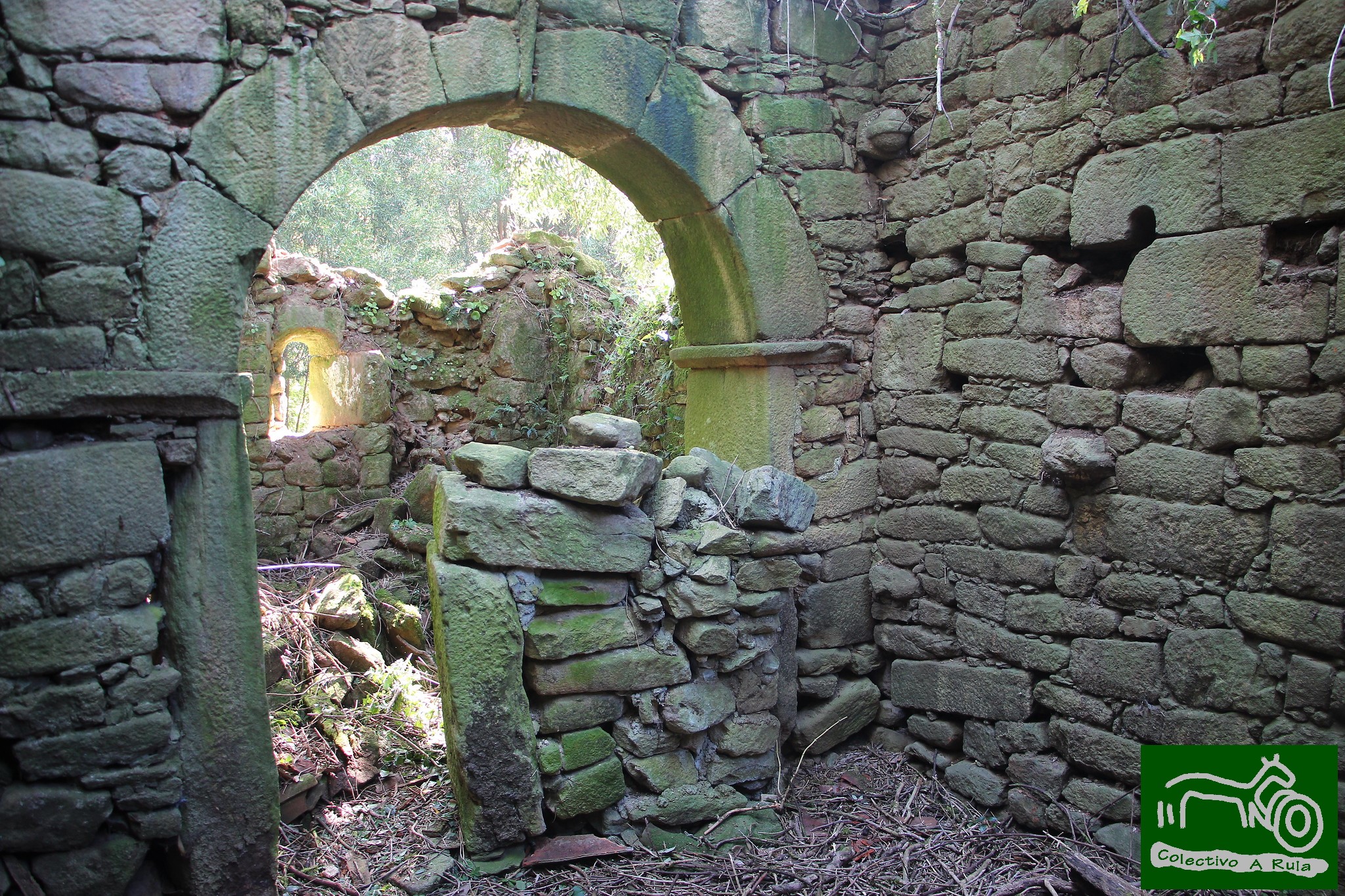 51232594609_45b230a1aa_k