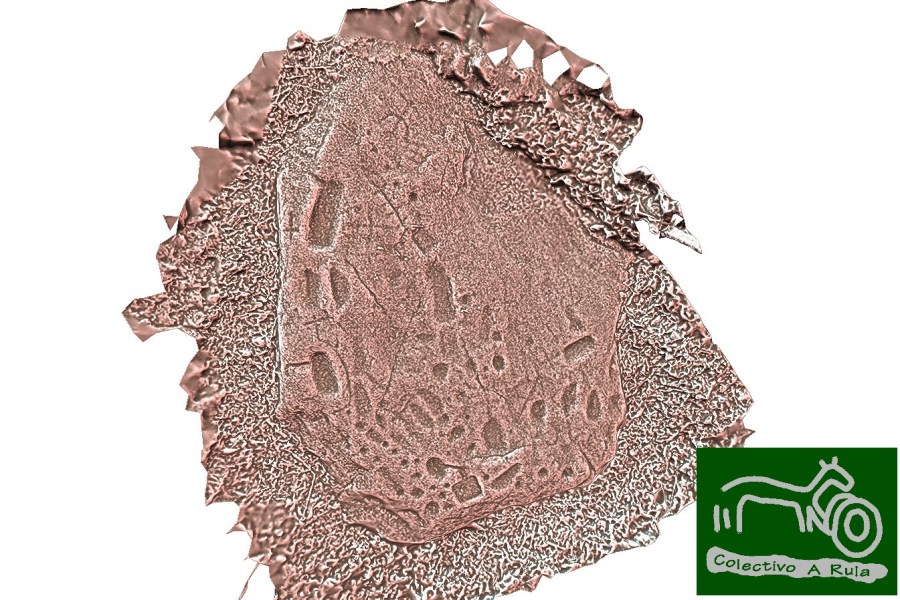 51326318148_d6e1c0e526_h