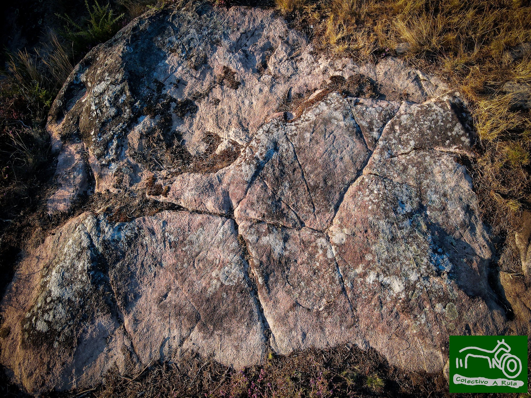 51378020959_a51fbeb963_k