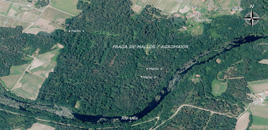 51432370886_d4ba22b204_k