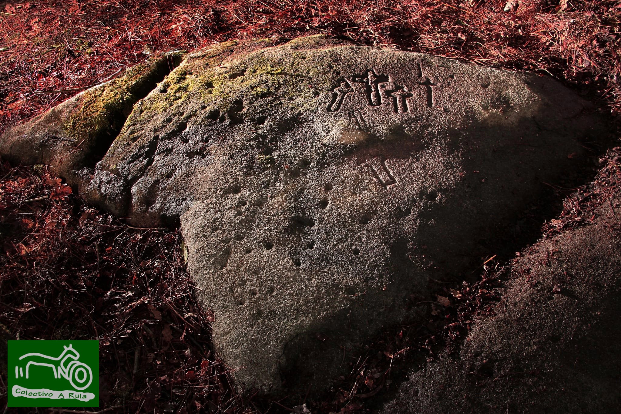 51496563409_1645eaf4f5_k