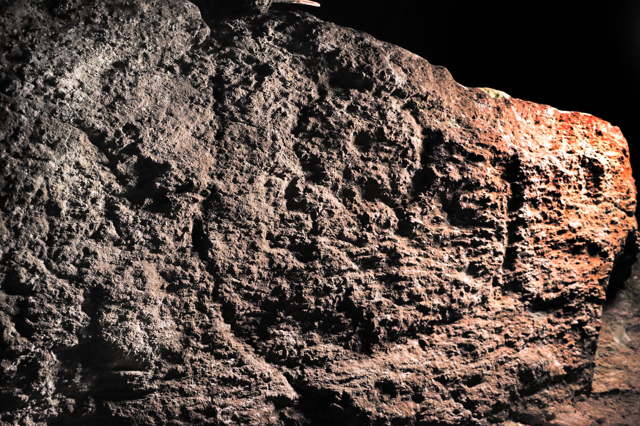 51768672729_535758b9a1_k